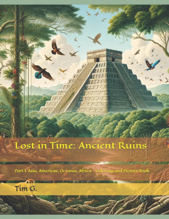 Knjiga Lost in Time Tim G.