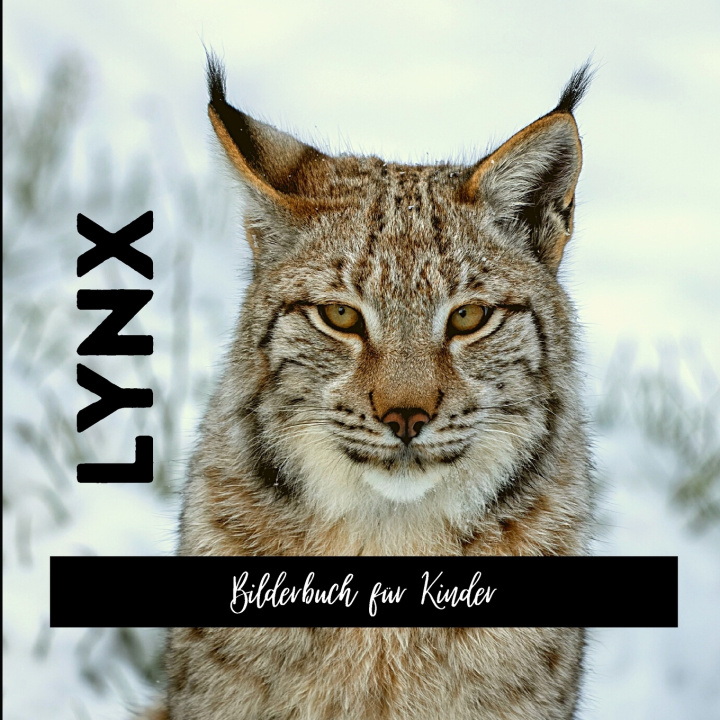Kniha Lynx Philip Maoller