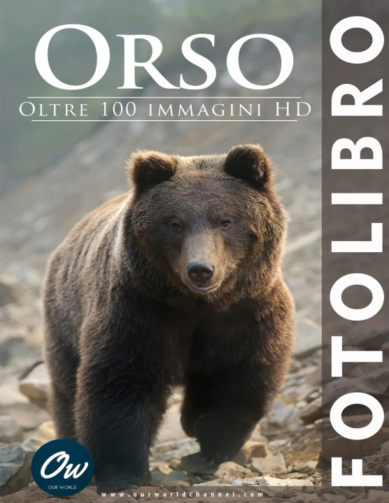 Kniha Orso A Arelt