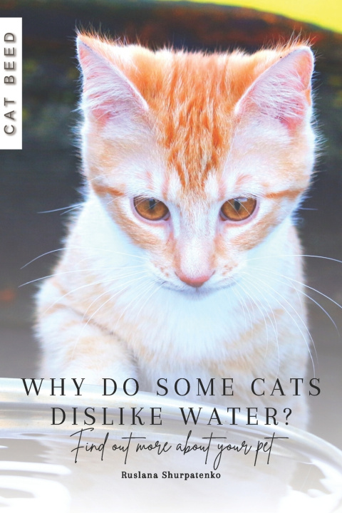 Knjiga Why do some cats dislike water? Ruslana Shurpatenko