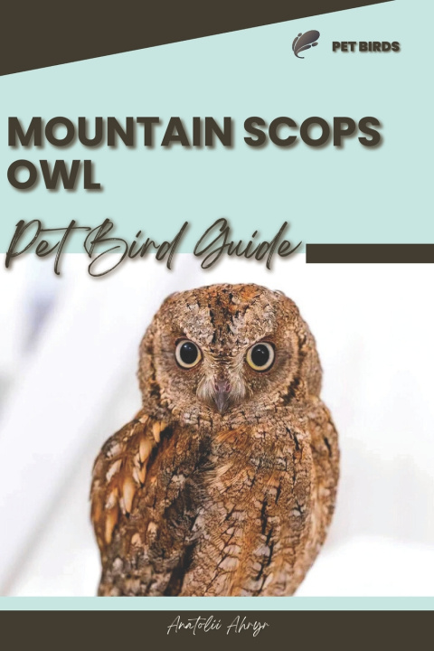 Book Mountain Scops Owl Anatolii Ahryr