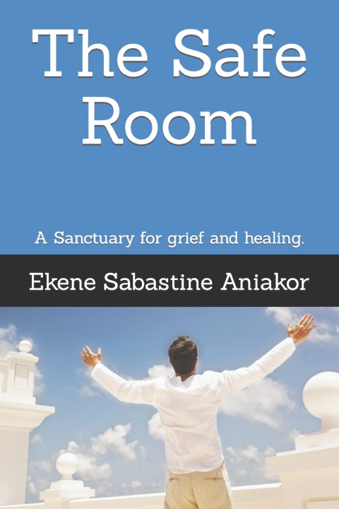 Book The Safe Room Ekene Sabastine Aniakor
