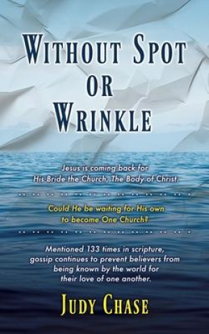 Book Without Spot or Wrinkle Judy Chase