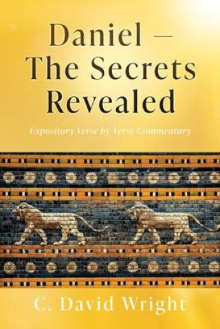 Kniha Daniel - The Secrets Revealed C. David Wright