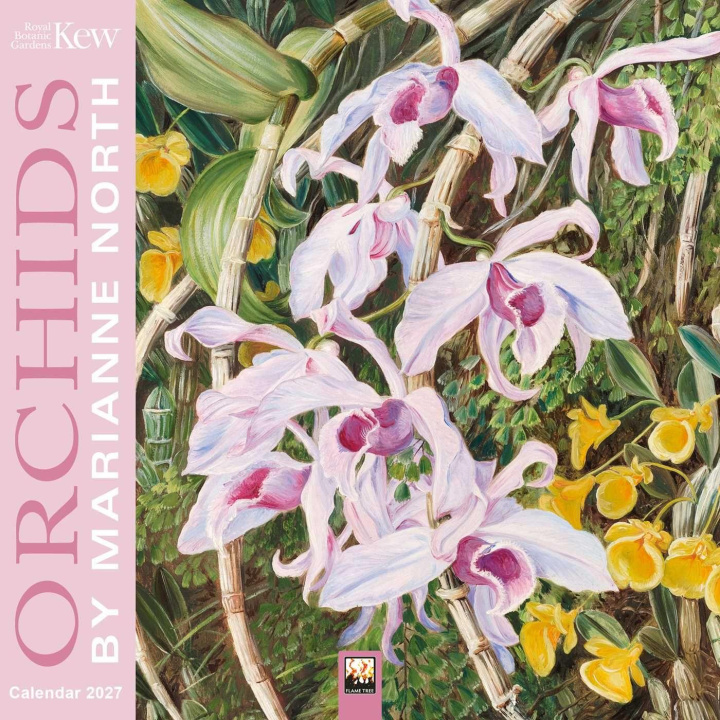 Kalendár/Diár Kew Gardens: Orchids by Marianne North Mini Wall Calendar 2027 (Art Calendar) WALL