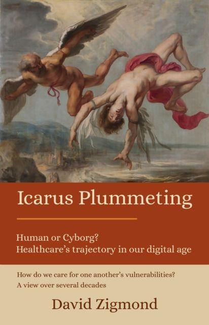 Knjiga Icarus Plummeting David Zigmond