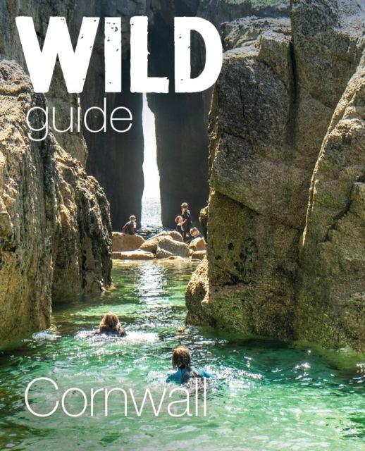 Boek Cornwall Daniel Start