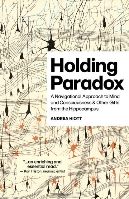 Kniha Holding Paradox Andrea Hiott