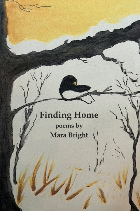Kniha Finding Home Mara Bright