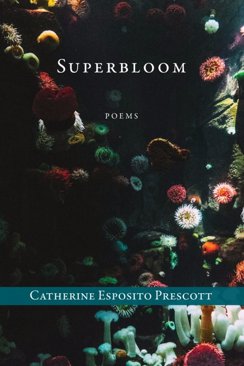 Knjiga Superbloom Catherine Esposito Prescott