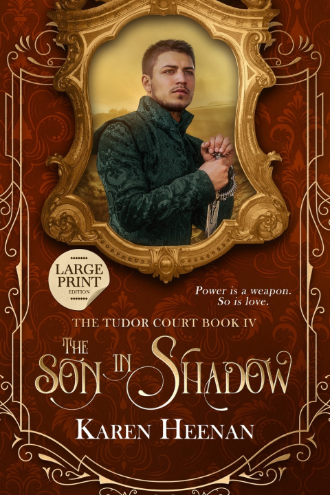 Kniha The Son in Shadow Karen Heenan