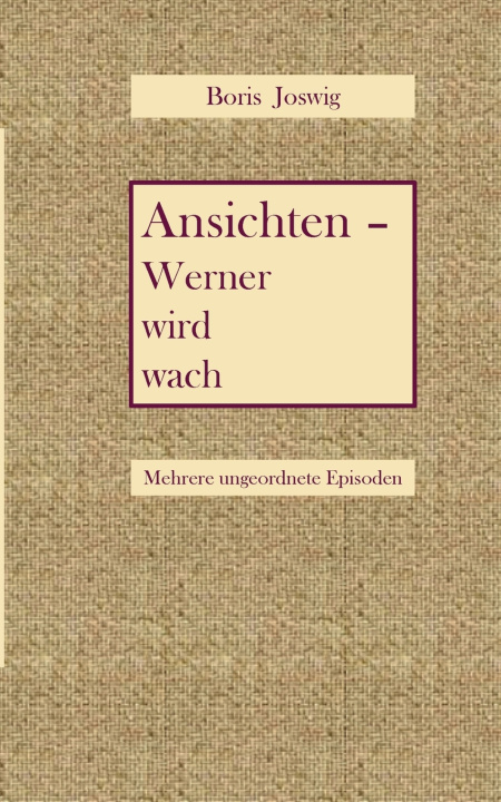 Kniha Ansichten - Werner wird wach Boris Joswig