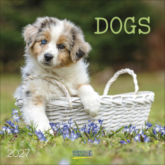 Kalendář/Diář Dogs 2027 Korsch Verlag