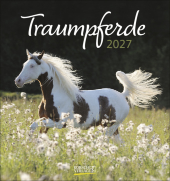 Kalendár/Diár Traumpferde 2027 Korsch Verlag