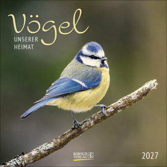 Calendar/Diary Vögel 2027 Korsch Verlag