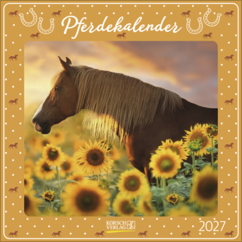 Calendar/Diary Pferdekalender 2027 Korsch Verlag