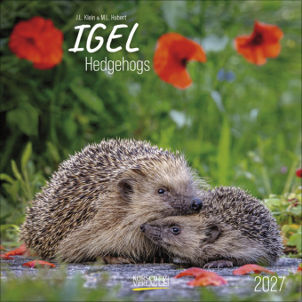 Kalendár/Diár Igel 2027 Korsch Verlag