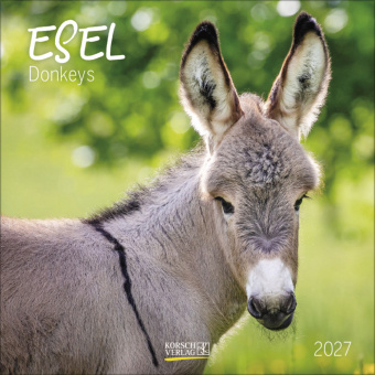 Calendar/Diary Esel 2027 Korsch Verlag