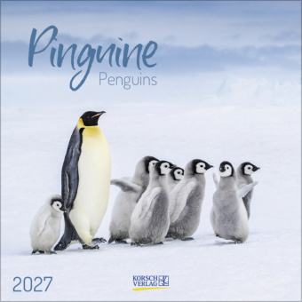 Koledar/Rokovnik Pinguine 2027 Korsch Verlag