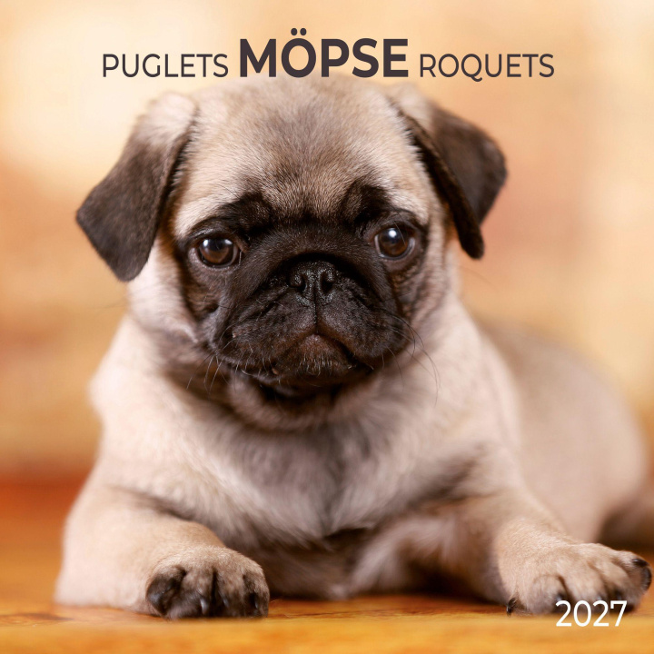 Kalendár/Diár Möpse / Puglets 2027 