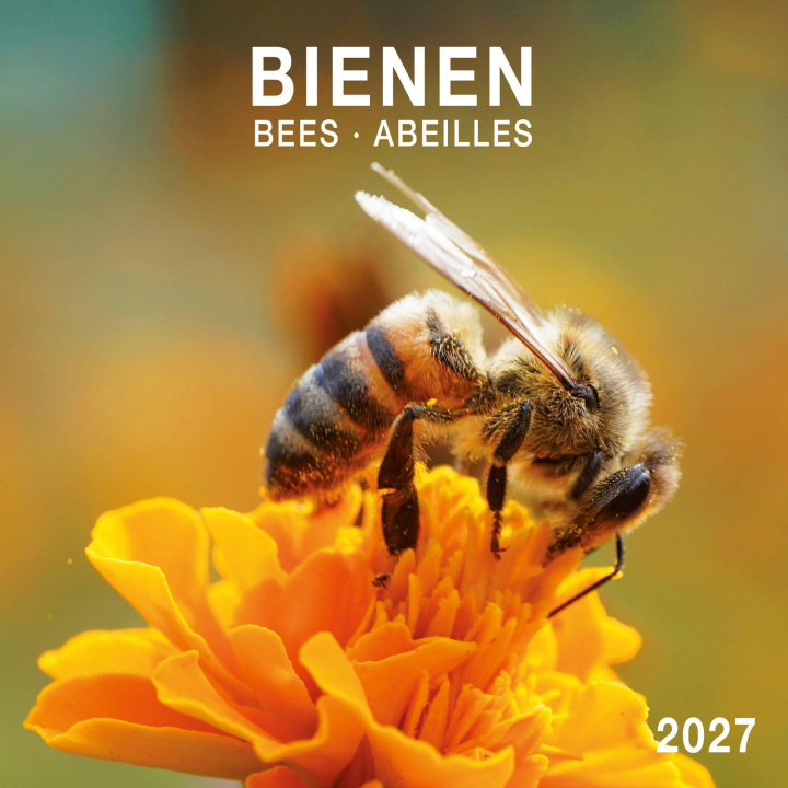 Koledar/Rokovnik Bienen / Bees 2027 