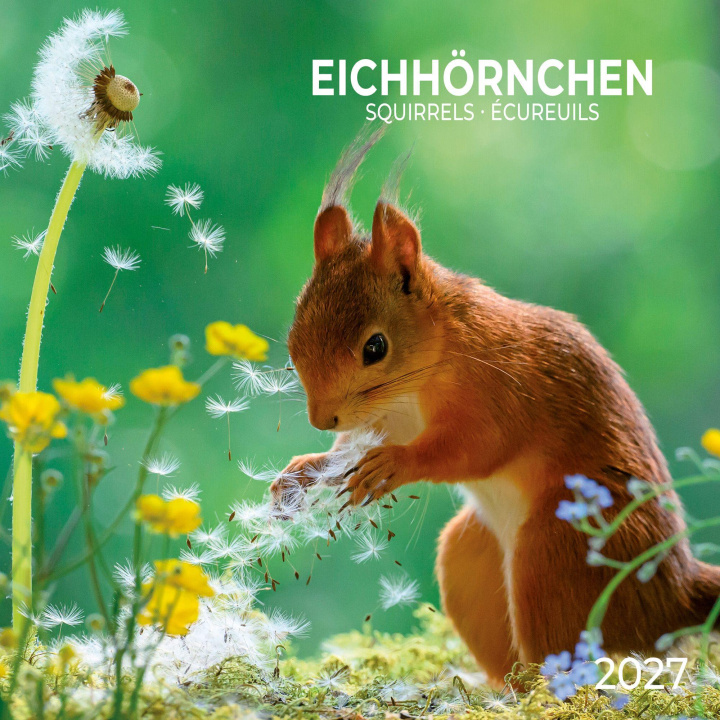 Kalendár/Diár Eichhörnchen / Squirrels 2027 