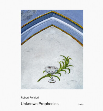 Knjiga Unknown Prophecies Robert Polidori
