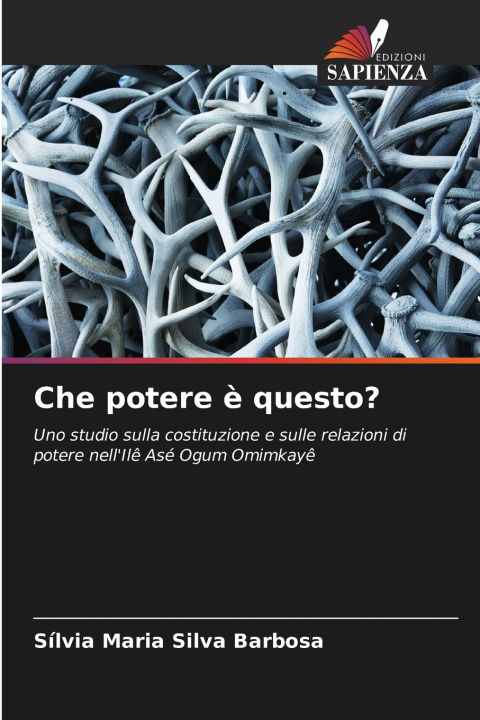 Libro Che potere è questo? Sílvia Maria Silva Barbosa