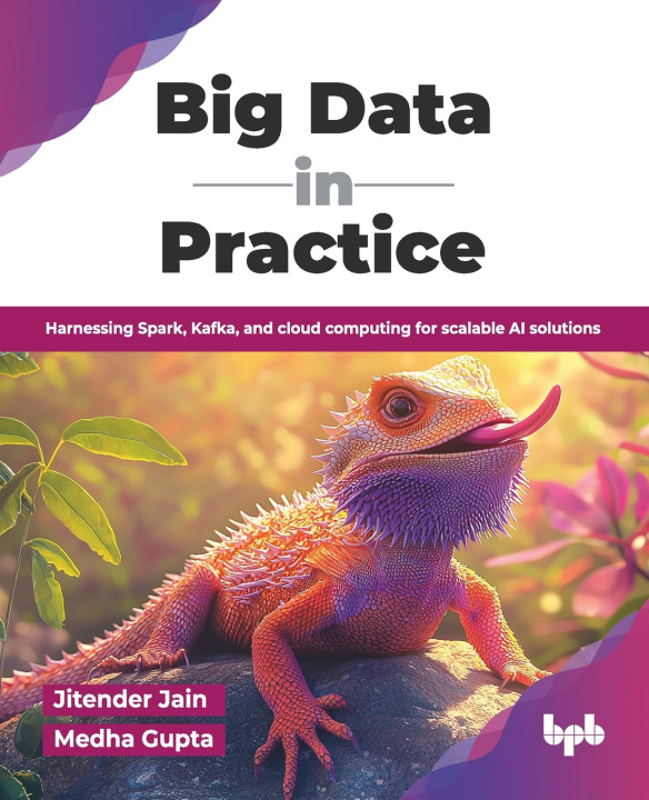 Kniha Big Data in Practice Medha Gupta
