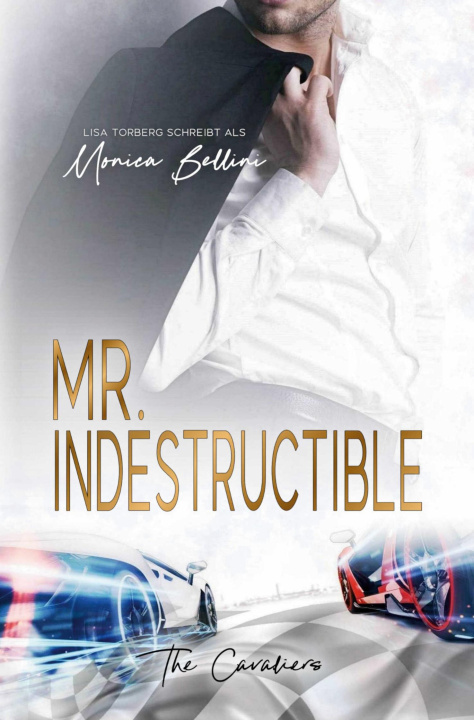 Kniha Mr. Indestructible Lisa Torberg