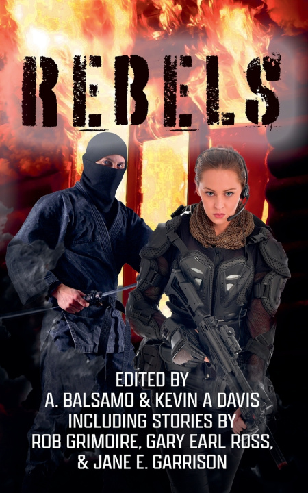 Book Rebels Kevin A Davis