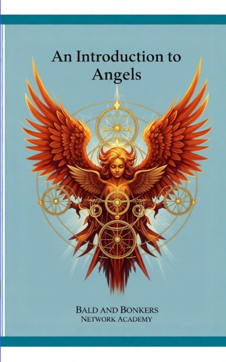 Knjiga An Introduction to Angels Dakota Frandsen