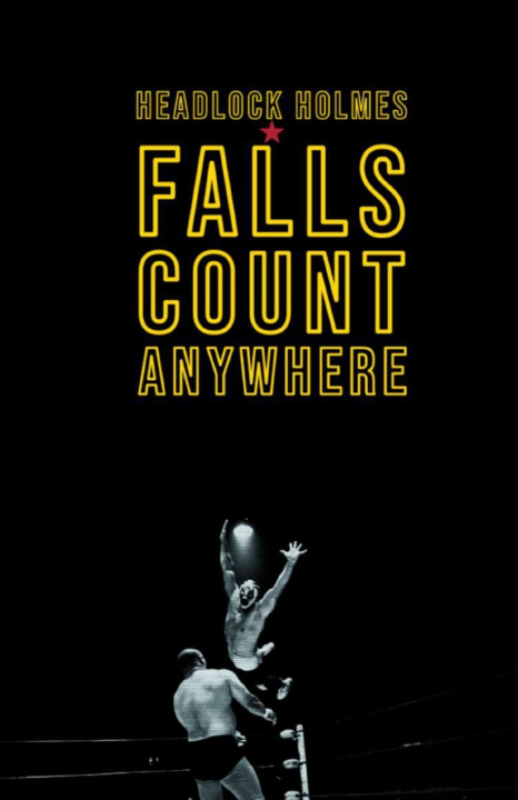 Kniha Falls Count Anywhere David Louden