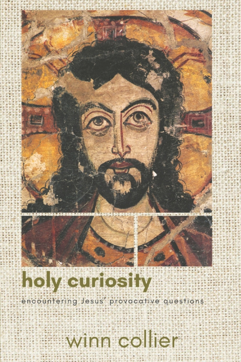Kniha Holy Curiosity Winn Collier