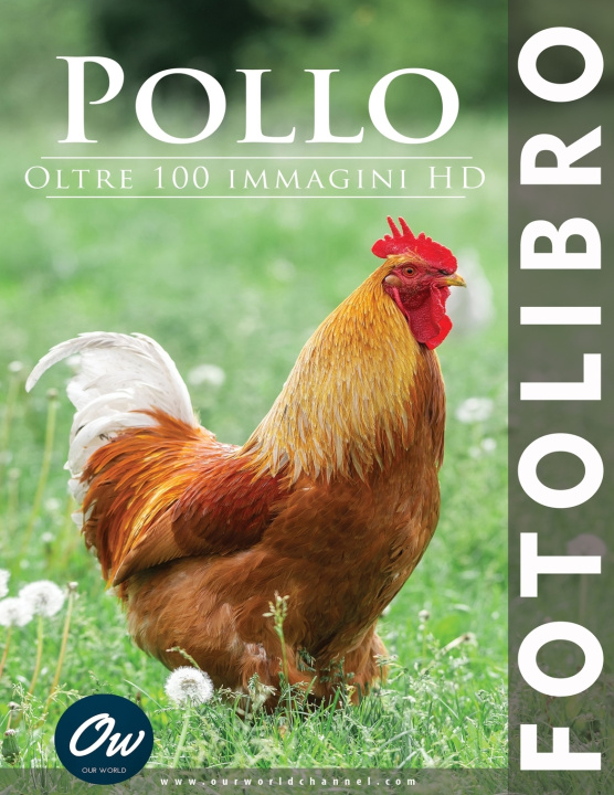 Book Pollo A Arelt