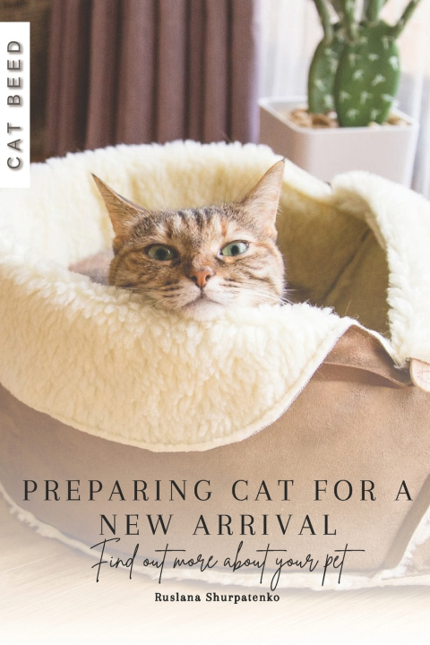 Kniha Preparing cat for a New Arrival Ruslana Shurpatenko
