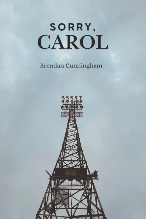 Kniha Sorry, Carol Brendan Cunningham