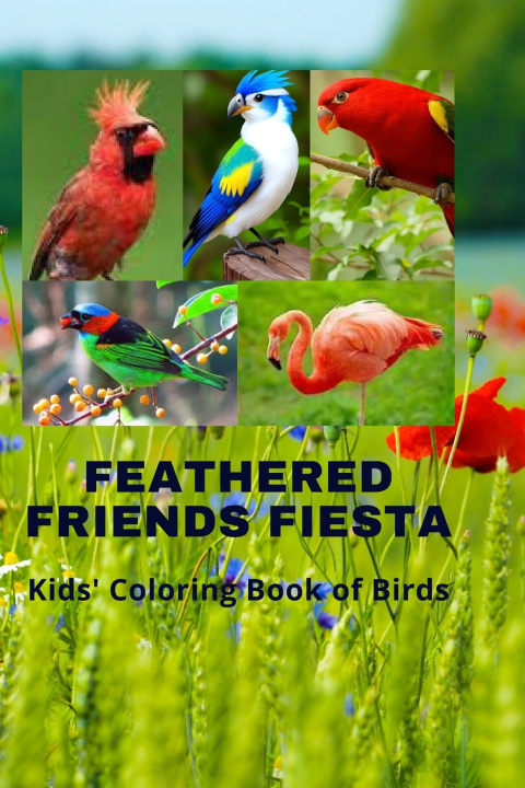 Book Feathered Friends Fiesta Rughveer Singh