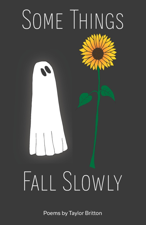 Book Some Things Fall Slowly Taylor Britton