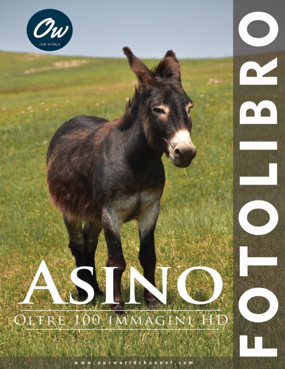 Book Asino A Arelt