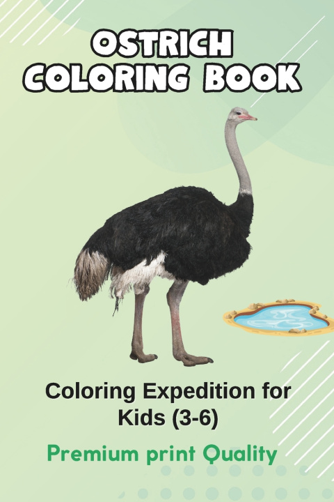 Book Ostrich Oasis Dinesh Chauhan