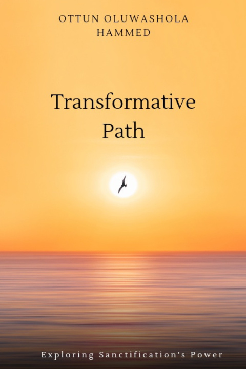 Kniha Transformative Path Oluwashola Hammed Ottun