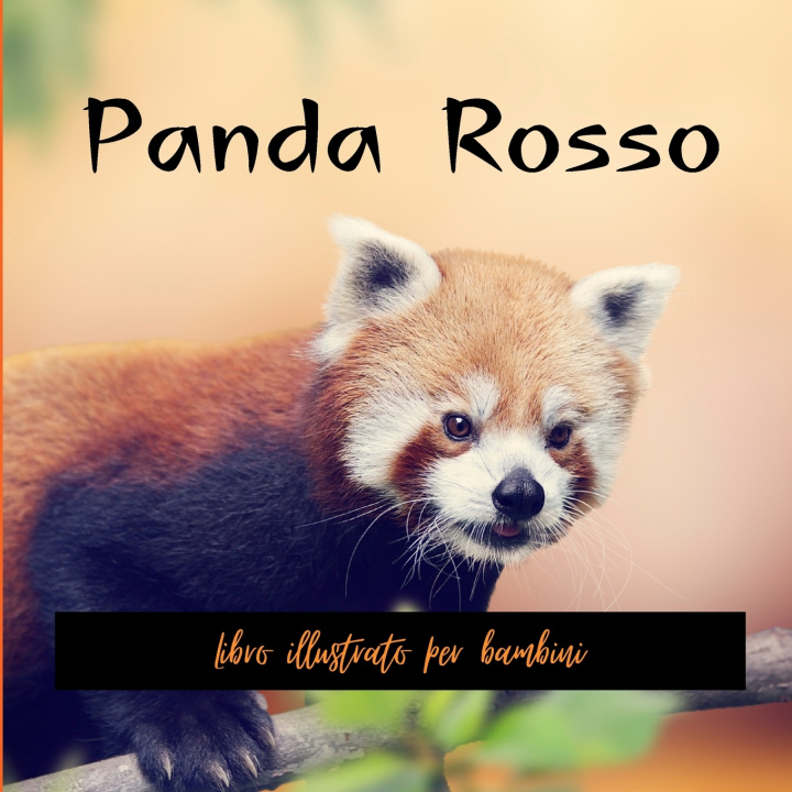 Kniha Panda Rosso Louis Florati