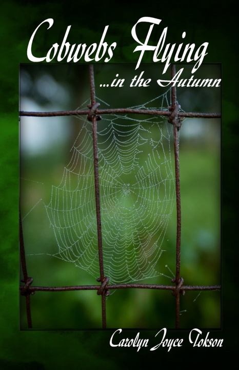 Knjiga Cobwebs Flying Carolyn Joyce Tokson