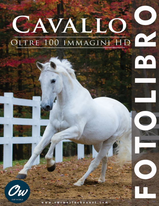 Kniha Cavallo A Arelt