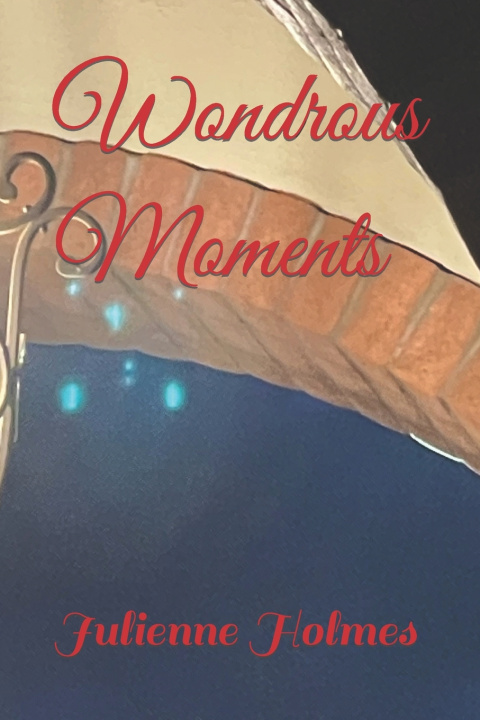 Książka Wondrous Moments Julienne Holmes
