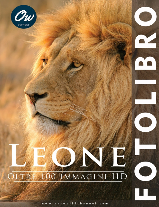 Kniha Leone A Arelt