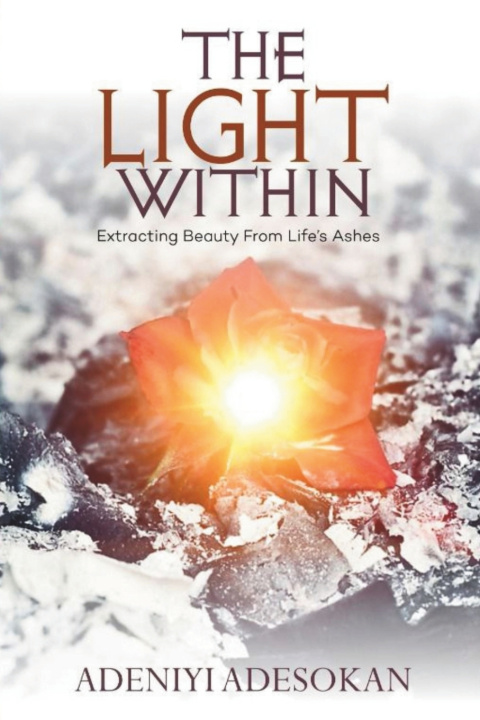 Kniha THE LIGHT WITHIN Adeniyi Adesokan