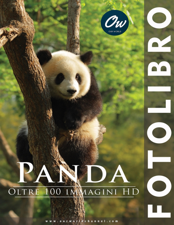 Kniha Panda A Arelt