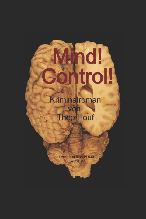 Kniha MindControl Theo Houf